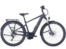 Pegasus Savino EVO 10 CX - Diamant (grey matt 50 cm)