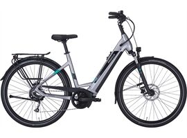 Pegasus EVO CX 750 - Wave (silver matt 45 cm)