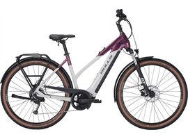 Bulls Cross EVO 750 - 750 Wh - Trapez (dark berry/light grey 55 cm)