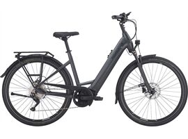 Pegasus Premio EVO 10 Lite - 750 Wh - Wave (black matt S)