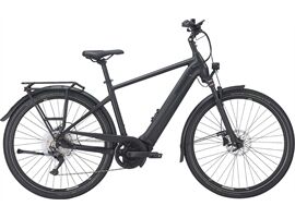 Pegasus Premio EVO 10 Lite - 750 Wh - Diamant (black matt S)