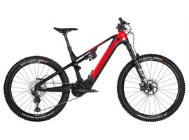 Rotwild R.X750 CORE - 750 Wh - Diamant (red S)