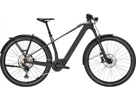 Bulls SONIC SX DAKAR - 400 Wh - Diamant (monza grey / UD carbon L)