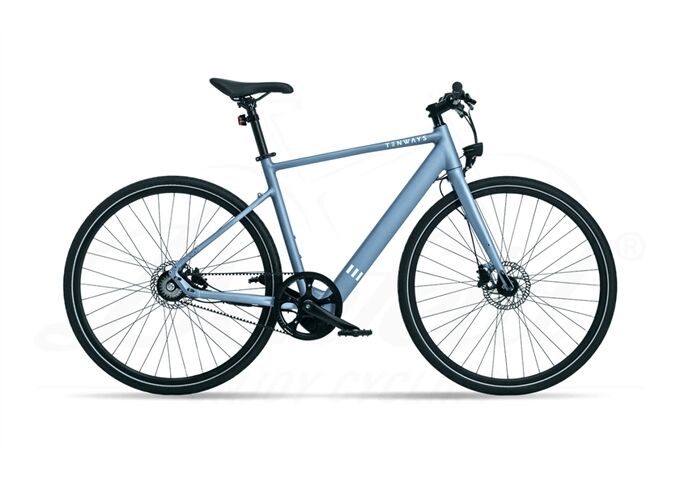 Tenways CGO600 PRO - 360 Wh - Diamant