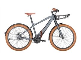 Bulls Sturmvogel EVO - 650 Wh - MTB (platinum grau matt 41 cm)