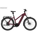 Riese & Müller Charger4 Mixte GT vario ro Rh46 GX Kiox Schloss