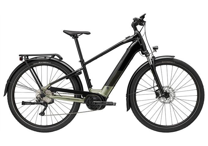 Cannondale Tesoro Neo X 2 - 625 Wh - Diamant