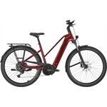 Pegasus PREMIO EVO 10 Lite - 800 Wh - Trapez