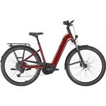 Pegasus PREMIO EVO 10 Lite - 800 Wh - Wave