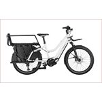 Riese & Müller Multicharger2 Mixte GT family T RX-Chip