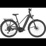 Pegasus PREMIO EVO 10 Lite - 800 Wh - Trapez
