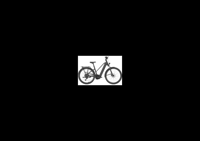 Pegasus PREMIO EVO 10 Lite - 800 Wh - Trapez