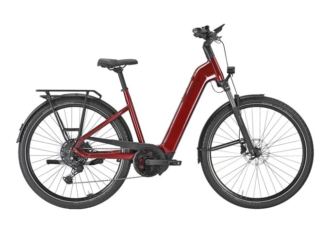 Pegasus PREMIO EVO 10 Lite - 800 Wh - Wave