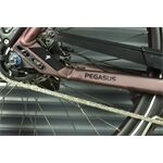 Pegasus Outlet - Strong EVO 5R - 750 Wh - Wave