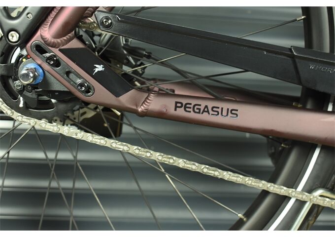 Pegasus Outlet - Strong EVO 5R - 750 Wh - Wave