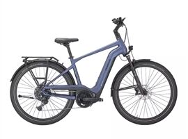 Pegasus Outlet - STRONG EVO 10 LITE - 750 Wh - Diamant (steel blue)