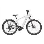 Pegasus PREMIO EVO 10 Lite - 800 Wh - Diamant Pegasus PREMIO EVO 10 Lite - 800 Wh - Diamant