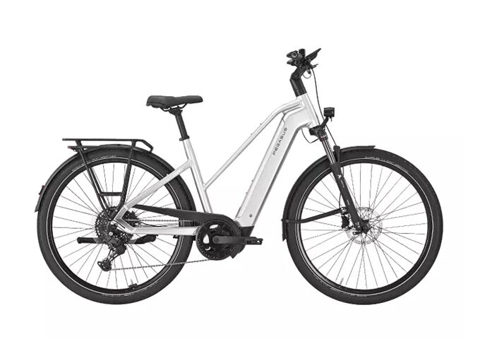 Pegasus PREMIO EVO 10 Lite - 800 Wh - Trapez