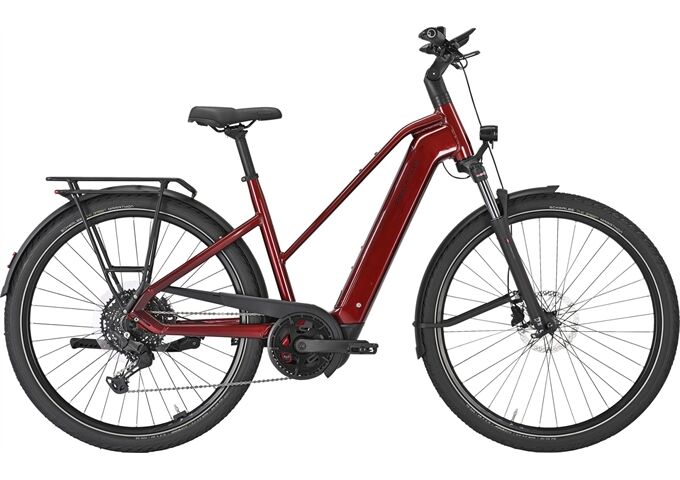 Pegasus PREMIO EVO 10 Lite - 800 Wh - Trapez