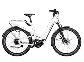 Riese & Müller Homage4 GT vario RH54 we Kiox ABS SA RX KK (pearl white)