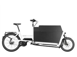 Riese & Müller R+M Transporter 85 vario we Box Gepäckt. (true white)