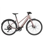 Riese & Müller UBN Seven touring
