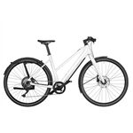 Riese & Müller UBN Seven touring Rh45 we