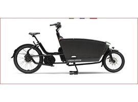 Urban Arrow FamilyNext Pro (Cargo Line) 545Wh schwarz (schwarz)