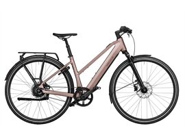 Riese & Müller UBN Seven vario  Rh45 SK Gep. Schloß (rose)