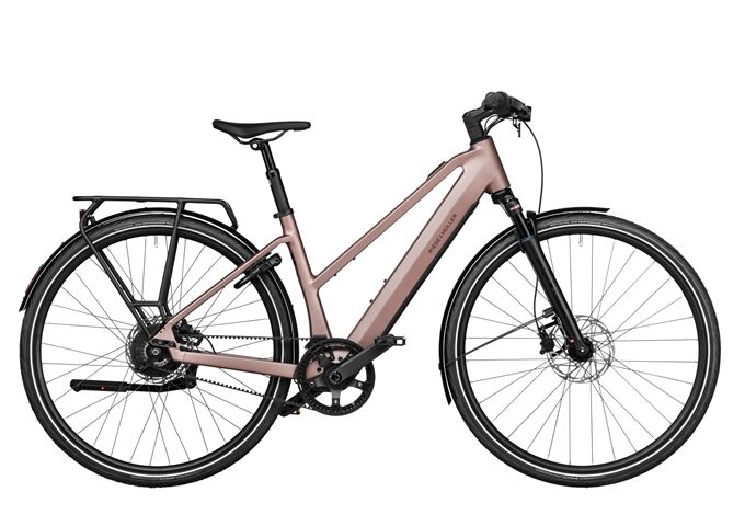 Riese & Müller UBN Seven vario Rh45 SK Gep. Schloß