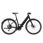 Riese & Müller UBN Six touring 11-G Rh51 sw