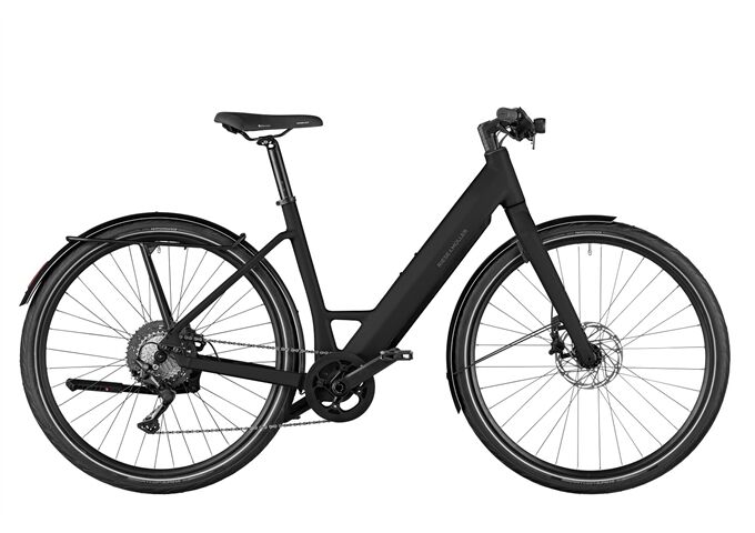 Riese & Müller UBN Six touring 11-G Rh51 sw
