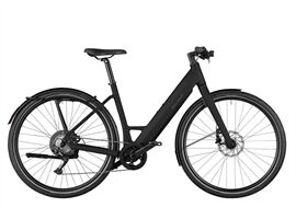 Riese und Müller R+M UBN Six touring 11-G Rh45 we SK CK Schloss
