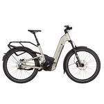 Riese & Müller Homage5 GT pinion T 800WH Gep.Tr. GX RX