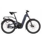 Riese & Müller Homage5 GT pinion 800WH Gep.Tr. Komf.Kit. Schl.+ke