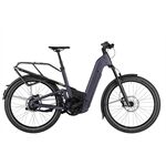 Riese & Müller Homage5 GT vario 800WH Kiox500 RX Gep.Tr. Comf.Kit