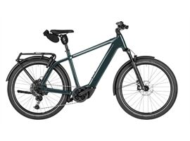 Riese & Müller Charger5 touring  /800Wh/GX/ABS (pine)
