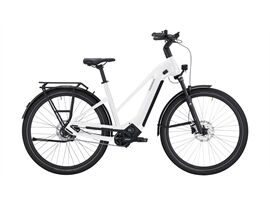 Pegasus ESTREMO EVO 9 Lite - 700 Wh - Trapez (metallic off white)