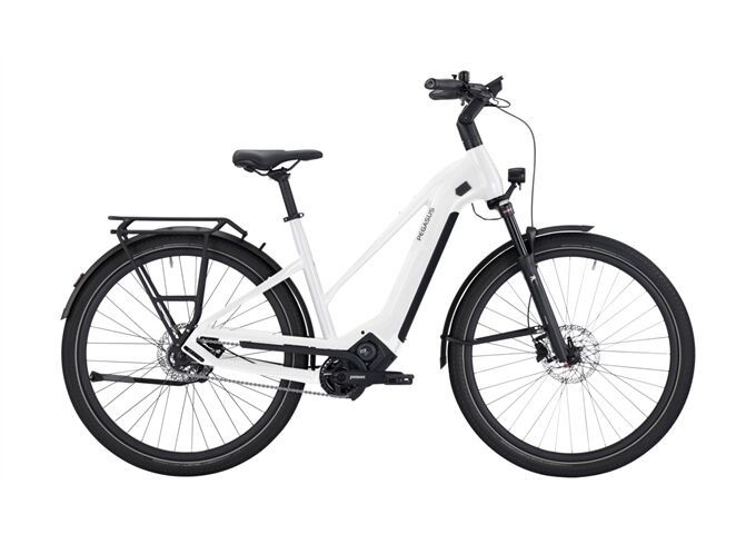 Pegasus ESTREMO EVO 9 Lite - 700 Wh - Trapez