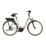 Riese & Müller Swing5 vario 500Wh/Kiox 300/RX