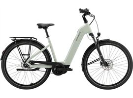 Pegasus Solero EVO 7F Belt - 600Wh - Wave