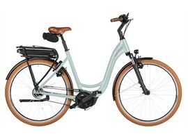 Riese & Müller Swing5 silent  - 500Wh - Kiox 300 - RX (salvia matt)