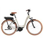 Riese & Müller Swing5 vario /500Wh/Kiox 300