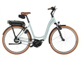 Riese & Müller Swing5 vario  500Wh - Kiox 300 (salvia matt)