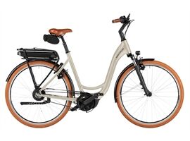 Riese & Müller Swing5 vario - 500Wh - Kiox 300 (almond)