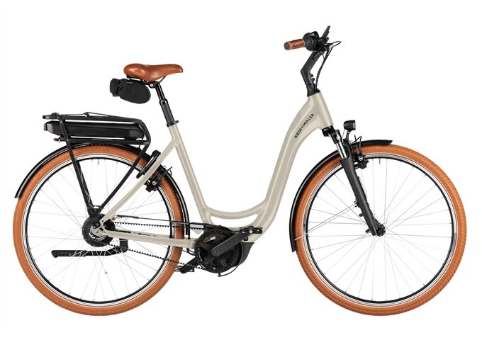 Riese & Müller Swing5 vario - 500Wh - Kiox 300