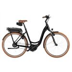 Riese & Müller Swing5 vario 26" /500Wh//Kiox 300