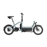 Riese & Müller Carrie2 vario - 545Wh-Kiox 300-RX-Family Kit-GS