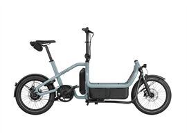 Riese & Müller Carrie2 vario - 545Wh-Kiox 300-RX-Family Kit-GS (aqua)