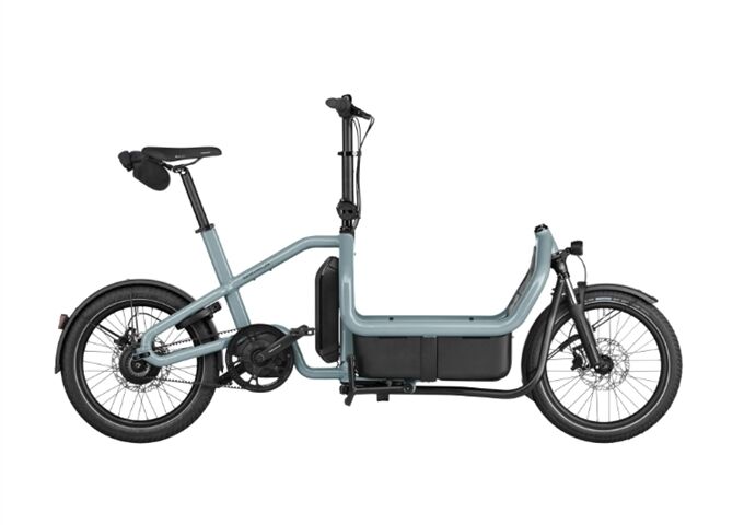 Riese & Müller Carrie2 vario - 545Wh-Kiox 300-RX-Family Kit-GS